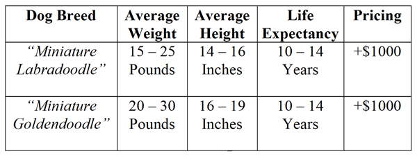 Medium labradoodle growth store chart