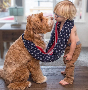 labradoodle clothes