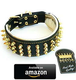 CHEETAH Designer Dog Collar by ™ in Designer Dog Accessories