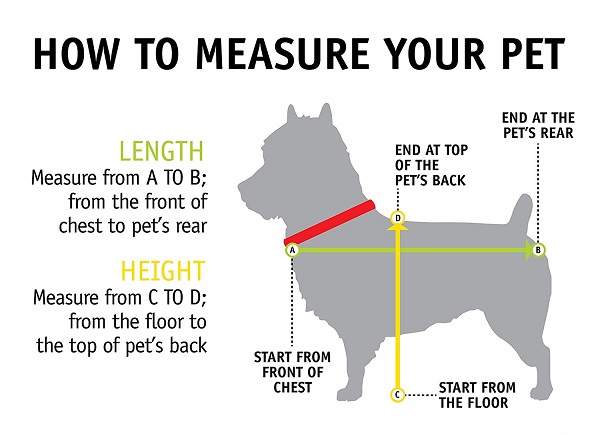 How-to-measure-your-dog1