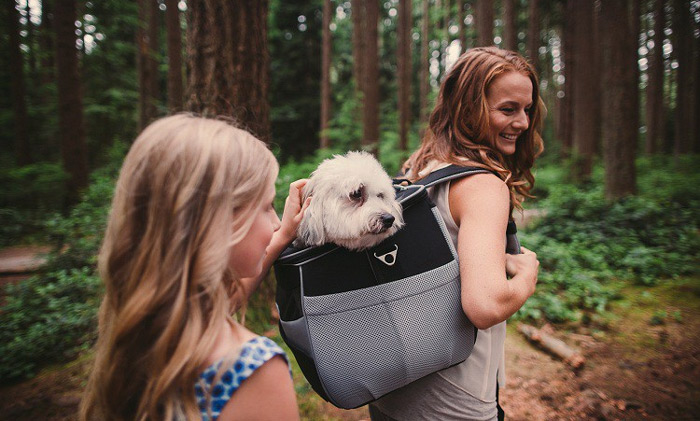 dog backpack carrier for bike riding