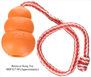 retriever-kong-toy