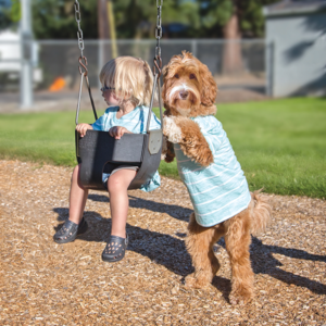 Labradoodle and Children